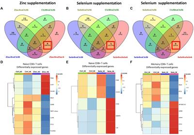 Zinc and selenium supplementation on treated HIV-infected individuals induces changes in body composition and on the expression of genes responsible of naïve CD8+ T cells function